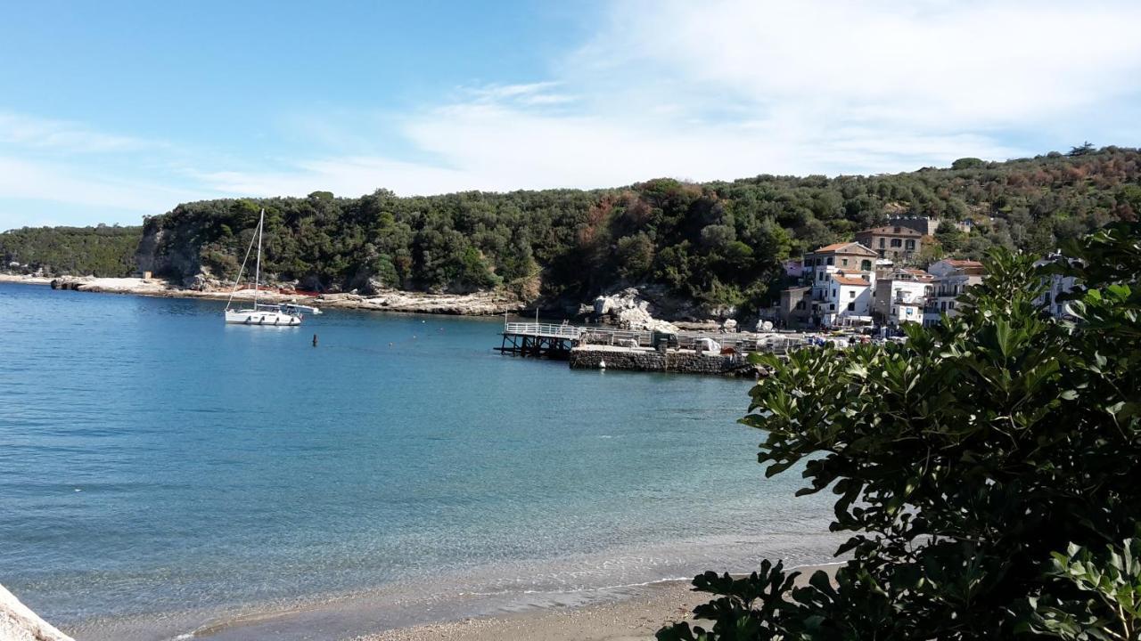 Villa Kalimera Сорренто Экстерьер фото